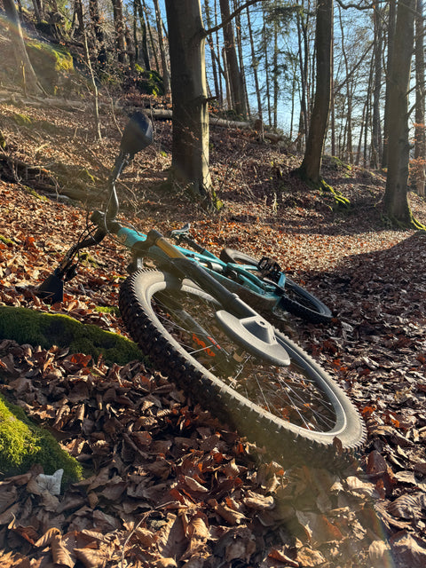 Aero Disc Cover für FOX 38